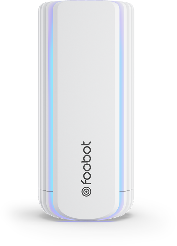 The Foobot device
