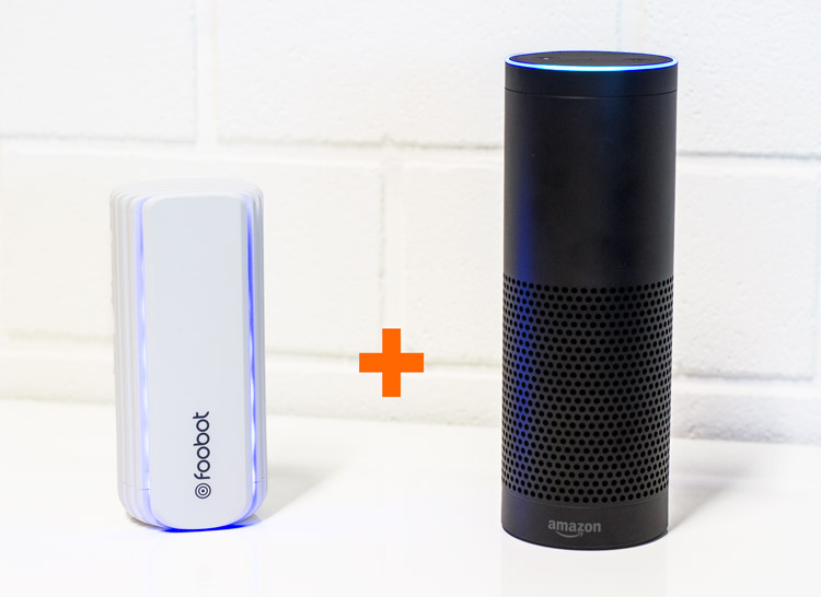 Alexa echo bot hot sale