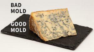 cover image roquefort for mold remediation article